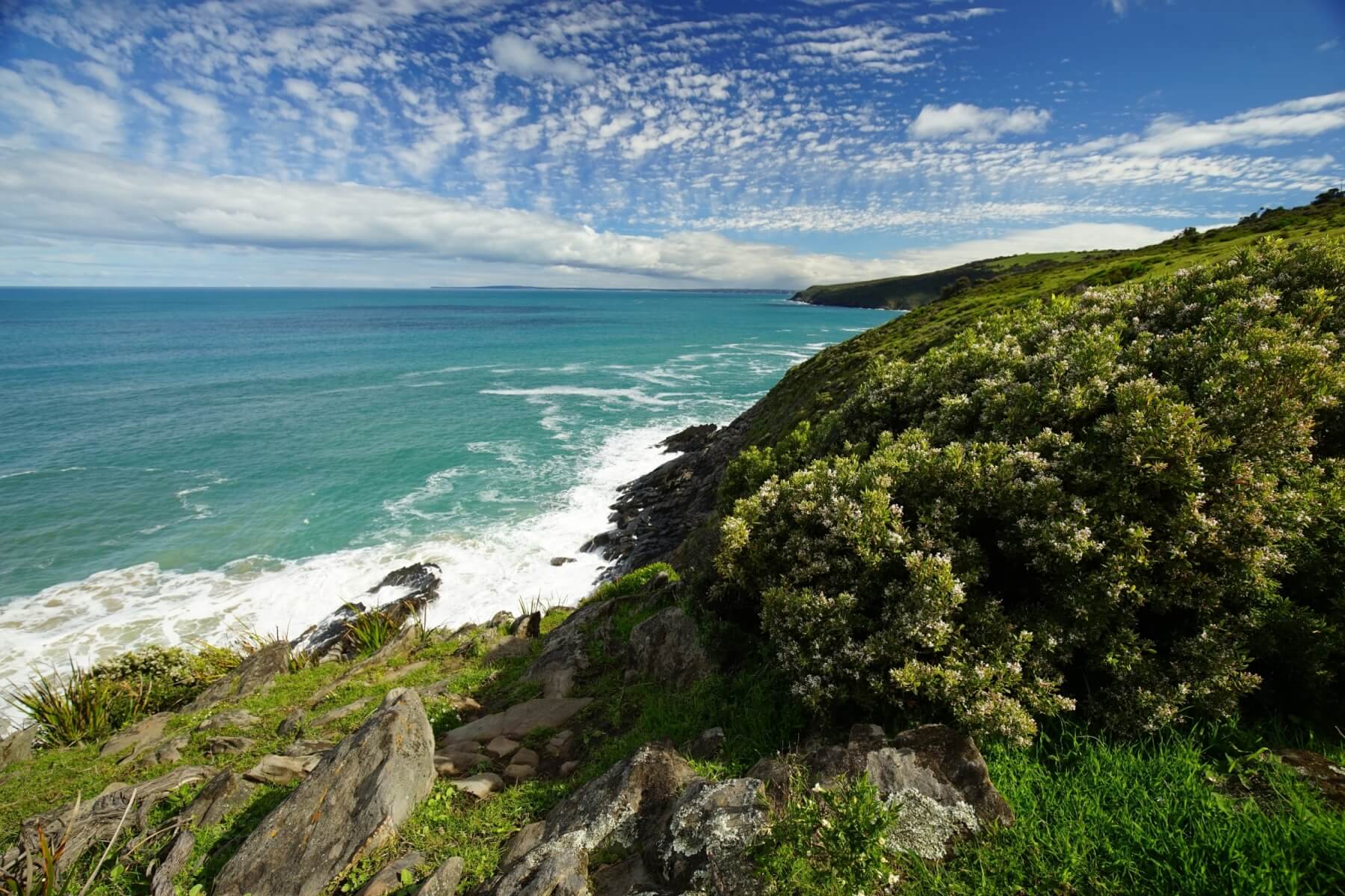 Southern Ocean Fleurieu Peninsula